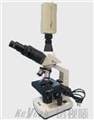 TS-B视频显微镜