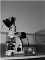 UP200I-LV320数码偏光显微镜