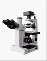 上海谦科三目倒置生物显微镜XSP-37XC