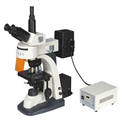 上海谦科光学CFM-300荧光显微镜批发价格8800元