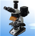 XSP-63X荧光显微镜
