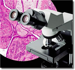 进口奥林巴斯双目（三）生物显微镜,医疗观察用生物显微镜使用方法