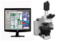 显微影像分析系统