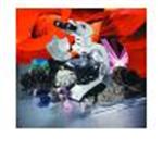 偏光显微镜 DM EP