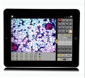 上海缔伦ScopePad-500智能数码显微成像仪
