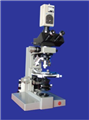Leitz ORTHOLUX-Ⅱ POL MK透反射偏光显微镜