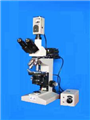 XP4图像型透反射偏光显微镜