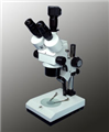 数码摄像体视显微镜
