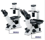 奥林巴斯的显微镜型号CKX41