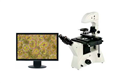 安徽数码倒置显微镜ME41