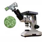 JZ-200E金相显微镜