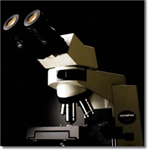 双目生物显微镜 ，光学生物显微镜 ，双目生物显微分析仪