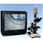 生物彩色电视显微镜 ，彩色电视显微镜 ，医疗卫生公安刑侦用显微镜