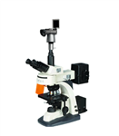 数码落射荧光显微镜