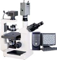倒置显微镜-上海蔡康光学仪器厂专业生产倒置显微镜