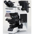 奥林巴斯BX53显微镜