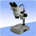 双目连续变倍体视显微镜XTZ-D 双目体视显微镜