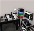 美国3I显微镜、活细胞显微镜、活体显微镜、高速激光共聚焦显微镜、荧光显微镜、双光子荧光共聚焦显微镜、超高分辨率荧光显微镜