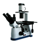 倒置生物显微镜