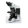 奥林巴斯正置显微镜|BX43