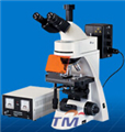 无穷远三目正置荧光显微镜TFM-400