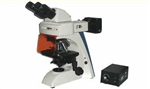 生物荧光显微镜价格,荧光显微镜使用方法