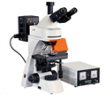 正置荧光显微镜|BM2000Z荧光显微镜|国产启步荧光显微镜