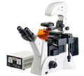 BM4000D倒置荧光显微镜|倒置荧光显微镜厂家|倒置荧光显微镜现货