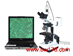 视频万能金相显微镜 万能金相显微镜