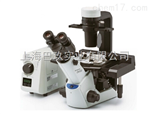 奥林巴斯显微镜CKX53系列品牌直销价