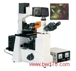 倒置荧光显微镜 荧光显微镜 显微镜