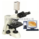 Xsp-9cD数码型生物显微镜