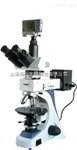 BM-11-2双目简易偏光显微镜,双目偏光显微镜价格