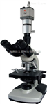 BM-11D电脑简易偏光显微镜,国产偏光显微镜价格