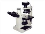 倒置生物显微镜 研究用生物显微镜可放置培养皿