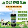 牛催肥用的微生态产品农富康养牛益生菌保健液