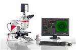 徕卡正置生物显微镜DM4B/DM6B