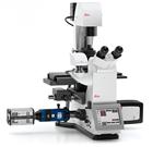 徕卡倒置荧光显微镜DMi8