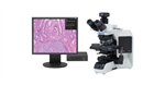 Olympus奥林巴斯荧光显微镜BX43促销中
