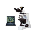 视频型偏光显微镜