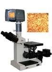 数码显微镜  各种型号显微镜 华东区总代理