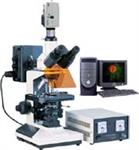 视频荧光显微镜  荧光显微镜  上海总代理