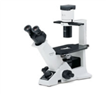 OLYMPUS奥林巴斯显微镜CKX31