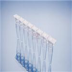 美国BIO-RAD PCR专用八联管薄壁PCR管平盖@今日头条新闻