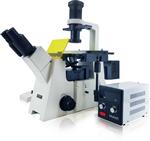 北京荧光显微镜