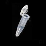 微量离心管/EP管无DNA酶/RNA酶无热源无菌@热点资讯