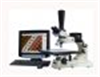 大平台高倍率金相显微镜