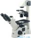 倒置显微镜３１