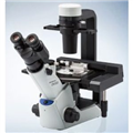 奥林巴斯olympus CKX53倒置显微镜