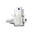 ZEISS GeminiSEM 300场发射扫描电子显微镜